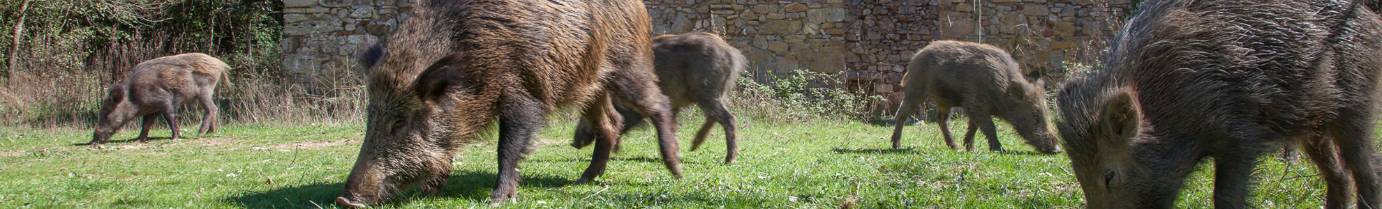 Percorsi Parco di Montioni