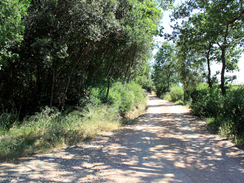 Montioni Park, which is located near Follonica, is part of the Val di Cornia Parks and covers about 6,000 hectares from Livorno to Grosseto