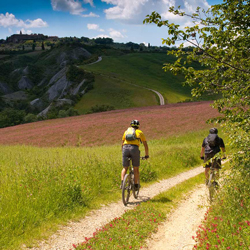 The best bike touring routes in and around Follonica, exceptional bike tours in Maremma to get up close and personal with this beautiful Tuscan area